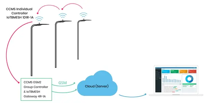 Connectivity image
